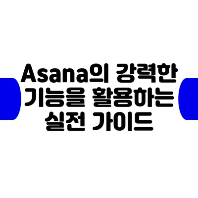 Asana의 강력한 기능을 활용하는 실전 가이드