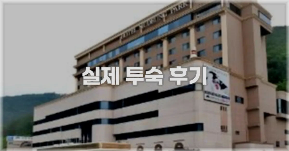 💬 실제 투숙 후기