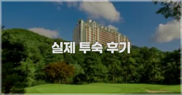 💬 실제 투숙 후기