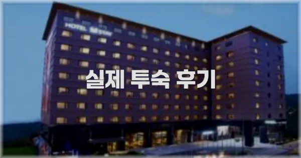 💬 실제 투숙 후기