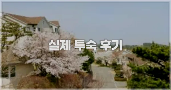 💬 실제 투숙 후기