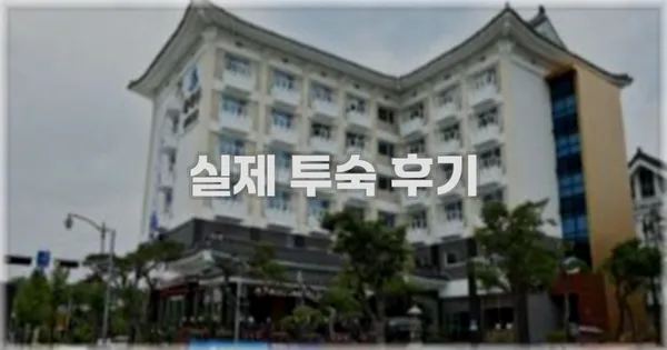 💬 실제 투숙 후기