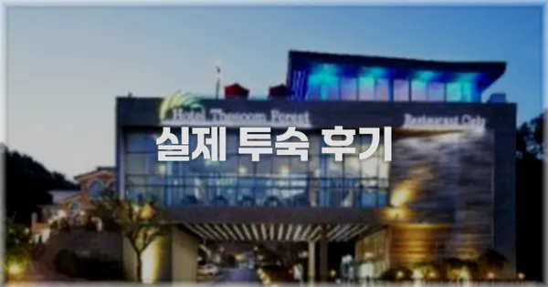 💬 실제 투숙 후기