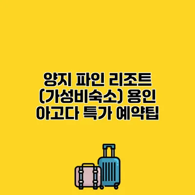 양지 파인 리조트 (가성비숙소) 용인 아고다 특가 예약팁