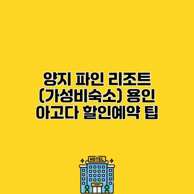 양지 파인 리조트 (가성비숙소) 용인 아고다 할인예약 팁