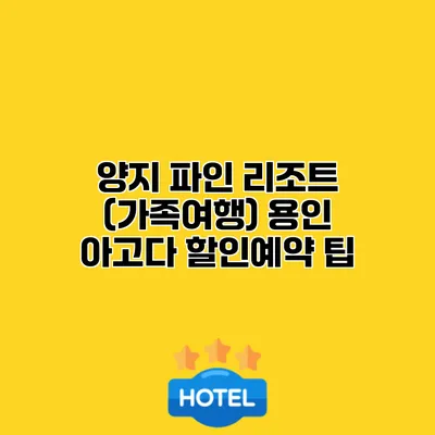 양지 파인 리조트 (가족여행) 용인 아고다 할인예약 팁
