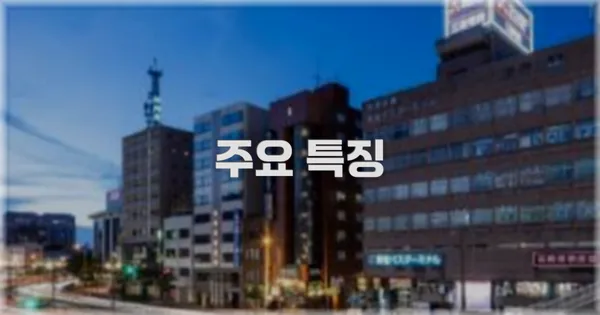 ✨ 주요 특징
