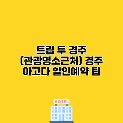 트립 투 경주 (관광명소근처) 경주 아고다 할인예약 팁